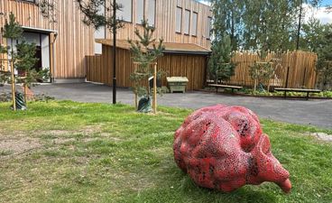 en stor rød ball i en hage