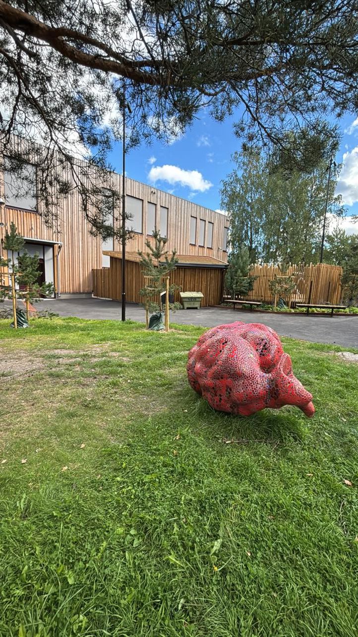 en stor rød ball i en hage