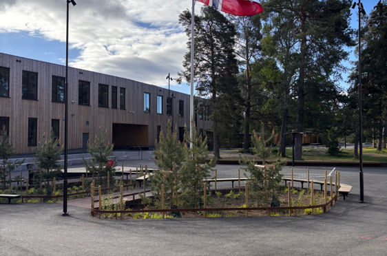 et flagg på en stang